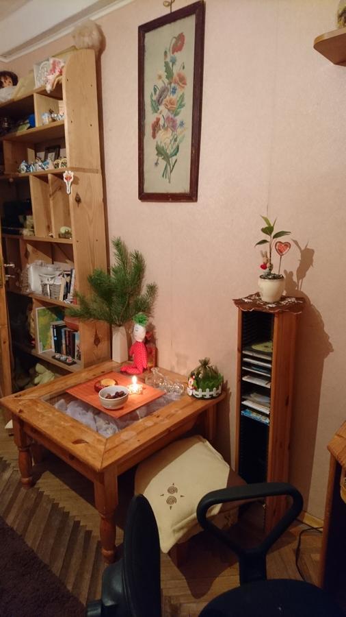 Comfortable Isolated Turnkey Room Near The Subway And The International Exhibition Center Kiev Eksteriør billede